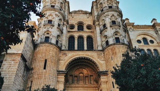 pexels-mehmet-turgut-kirkgoz-19190581